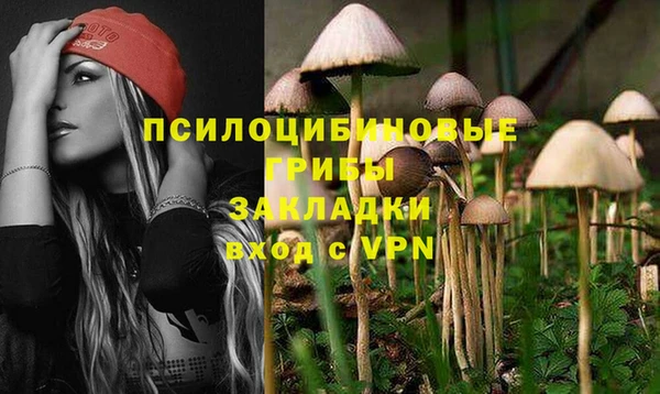 мяу мяу мука Белоозёрский